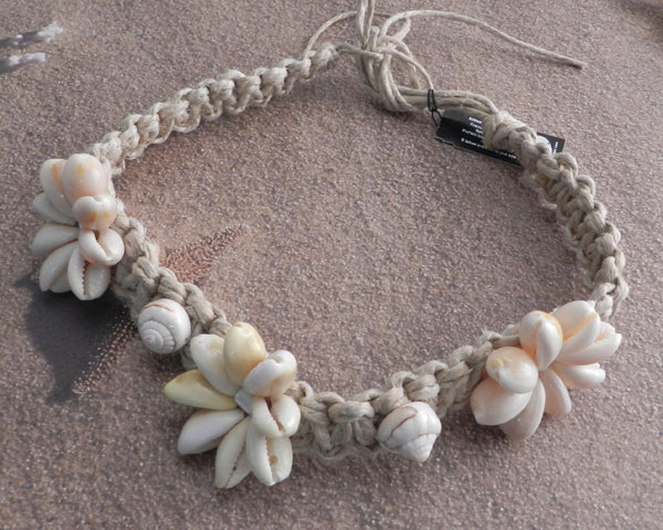 Cowry shell flower