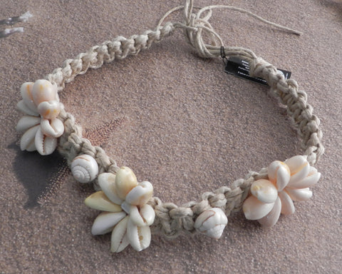 Cowry shell flower
