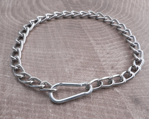 Chain and Carabiner Necklace