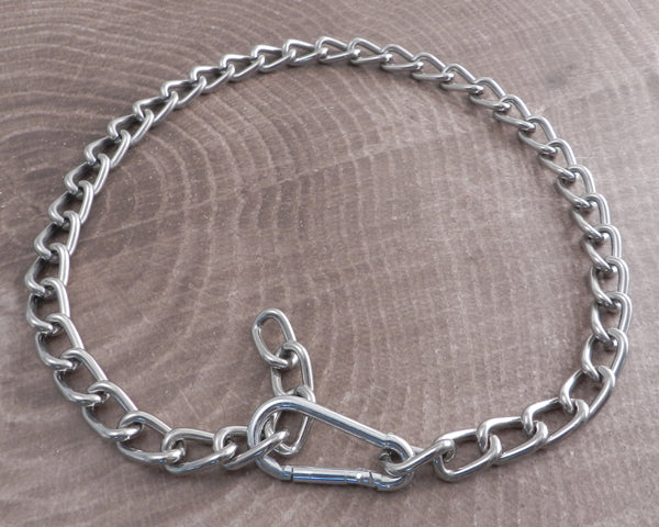 Chain and Carabiner Necklace