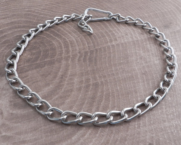 Chain and Carabiner Necklace